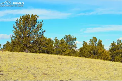 Ahlers Road, Hartsel, CO 80449 - Photo 5