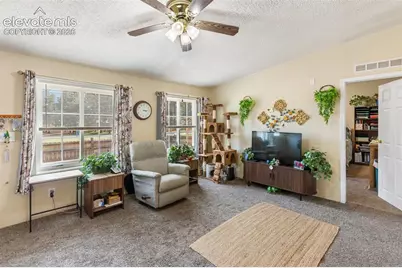 427 S Woodland Avenue, Woodland Park, CO 80863 - Photo 7