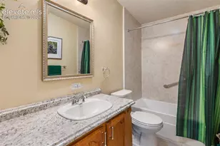 427 S Woodland Ave, Woodland Park, CO 80863 - Photo 15
