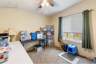 427 S Woodland Avenue, Woodland Park, CO 80863 - Photo 21
