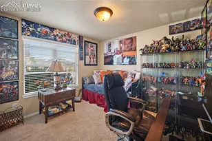 8025 Mt Hayden Dr, Colorado Springs, CO 80924 - Photo 29