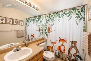 6275 Elkhead Dr, Colorado Springs, CO 80923 - Photo 29