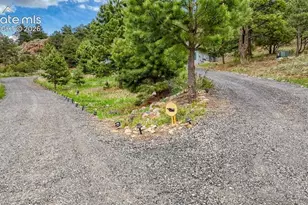 796 Knickerbocker Rd, Silver Cliff, CO 81252 - Photo 35