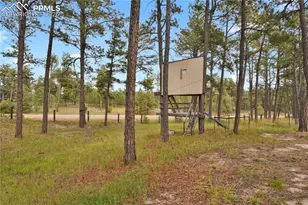 7015 McFerran Rd, Colorado Springs, CO 80908 - Photo 47