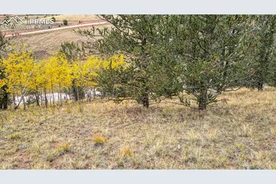 65 Portland Drive, Cripple Creek, CO 80813 - Photo 17