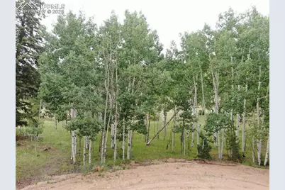 76 Crocus Circle, Florissant, CO 80816 - Photo 3