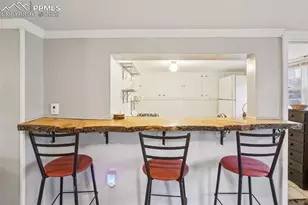 9025 Picabo Rd, Cascade, CO 80809 - Photo 29