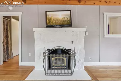 9025 Picabo Road, Cascade, CO 80809 - Photo 11