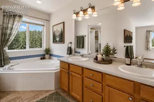 481 Black Bear Trail, Woodland Park, CO 80863 - Photo 25
