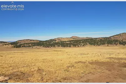 1115 Eagles Gate Road, Westcliffe, CO 81252 - Photo 45