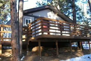 364 Kutsu Ridge Rd, Florissant, CO 80816 - Photo 9