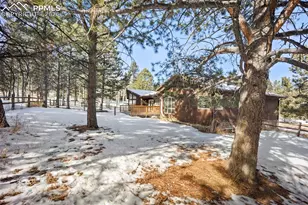 33 Stillforest Ln, Woodland Park, CO 80863 - Photo 43