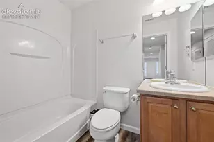 972 Burning Bush Point, Monument, CO 80132 - Photo 19
