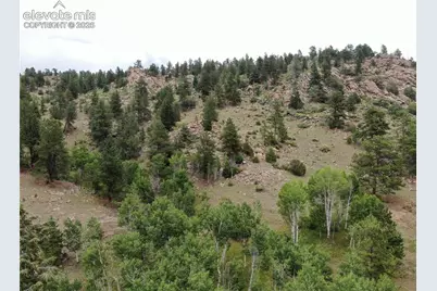 76 Crocus Circle, Florissant, CO 80816 - Photo 1