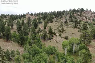 76 Crocus Cir, Florissant, CO 80816 - Photo 1