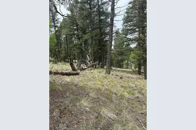 1120/1086 N Mountain Estates Road, Florissant, CO 80816 - Photo 5