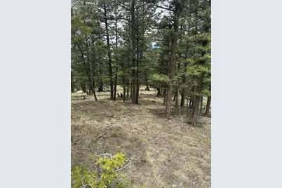 1120/1086 N Mountain Estates Road, Florissant, CO 80816 - Photo 7