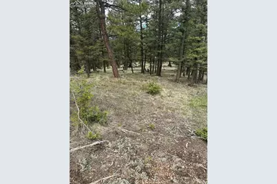 1120/1086 N Mountain Estates Road, Florissant, CO 80816 - Photo 3