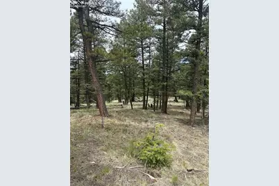 1120/1086 N Mountain Estates Road, Florissant, CO 80816 - Photo 1