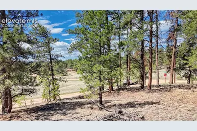212 Obsidian Drive, Florissant, CO 80816 - Photo 17