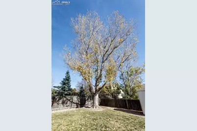 8361 Dolly Madison Drive, Colorado Springs, CO 80920 - Photo 25