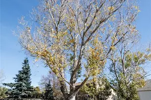 8361 Dolly Madison Dr, Colorado Springs, CO 80920 - Photo 25