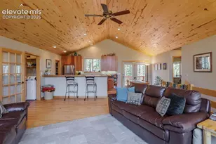 392 Aspen Village Rd, Divide, CO 80814 - Photo 9