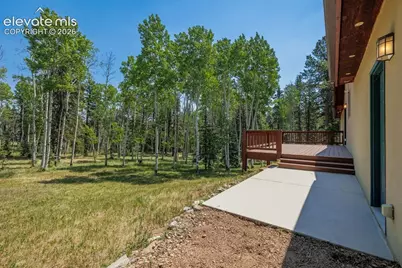 392 Aspen Village Road, Divide, CO 80814 - Photo 39