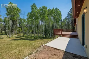 392 Aspen Village Rd, Divide, CO 80814 - Photo 39