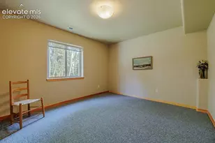 392 Aspen Village Rd, Divide, CO 80814 - Photo 33