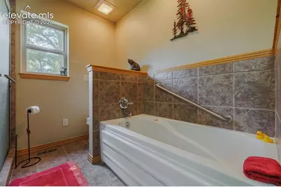 392 Aspen Village Road, Divide, CO 80814 - Photo 25