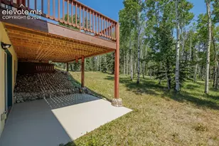 392 Aspen Village Rd, Divide, CO 80814 - Photo 41