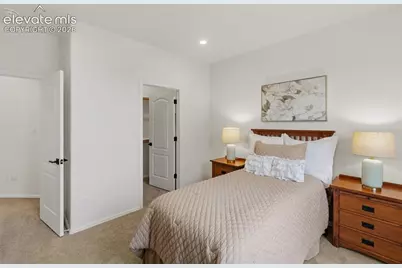 3311 Silver Pine Trail, Colorado Springs, CO 80920 - Photo 25