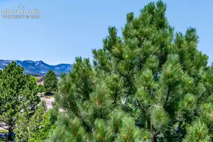 5763 Sonnet Heights, Colorado Springs, CO 80918 - Photo 39