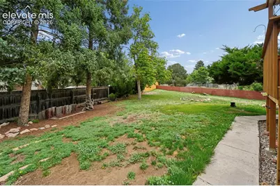 7010 Burroback Court, Colorado Springs, CO 80911 - Photo 47