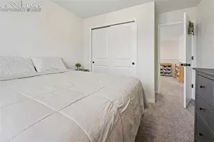 6382 Barr Pt, Colorado Springs, CO 80924 - Photo 25