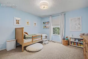 540 Grey Eagle Dr, Colorado Springs, CO 80919 - Photo 25
