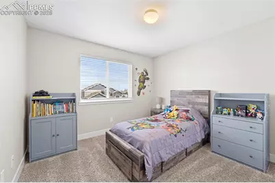 2972 Namib Drive, Colorado Springs, CO 80939 - Photo 29