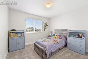 2972 Namib Dr, Colorado Springs, CO 80939 - Photo 29