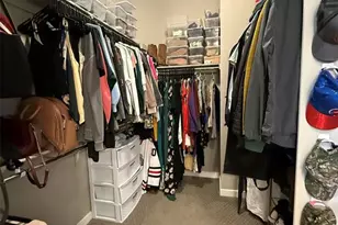 6942 Green Stalk Cir, Colorado Springs, CO 80927 - Photo 19