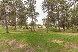 8755 Burgess Rd, Colorado Springs, CO 80908 - Photo 29
