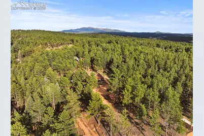 1110 Pikes Peak Drive, Florissant, CO 80816 - Photo 41