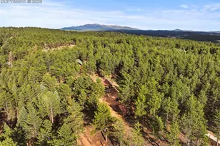 1110 Pikes Peak Dr, Florissant, CO 80816 - Photo 41