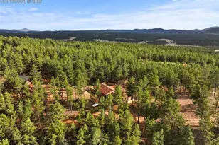 1110 Pikes Peak Dr, Florissant, CO 80816 - Photo 39