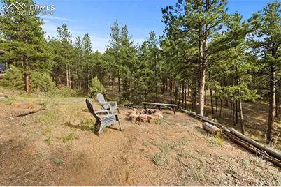1110 Pikes Peak Drive, Florissant, CO 80816 - Photo 29