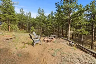 1110 Pikes Peak Dr, Florissant, CO 80816 - Photo 29