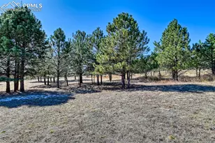 772 Douglas Ave, Palmer Lake, CO 80133 - Photo 41