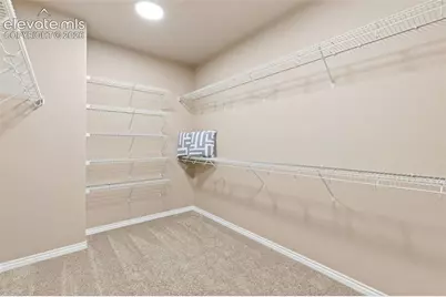 5346 Gem Lake Court, Colorado Springs, CO 80924 - Photo 23
