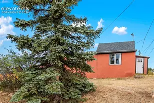 102 Spicer Ave, Victor, CO 80860 - Photo 45