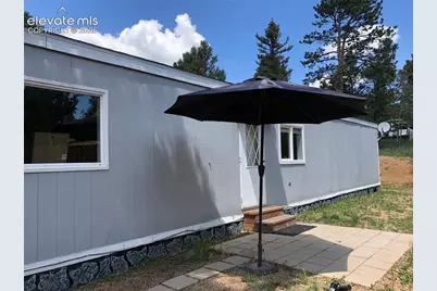 169 Daisy Street, Woodland Park, CO 80863 - Photo 5